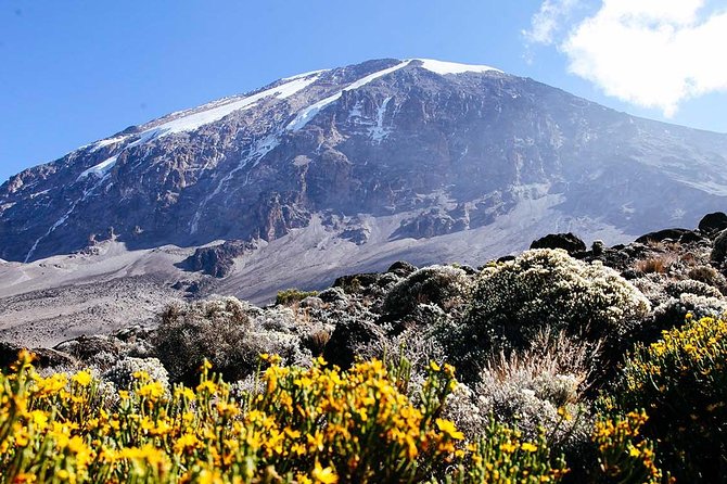 7 Days Machame Route Trek Mount Kilimanjaro - Physical Challenges
