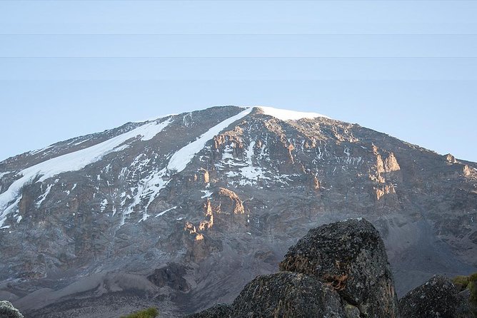 7 Days Machame Route Trek Mount Kilimanjaro - Flora and Fauna
