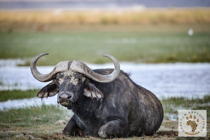 7 Days Masai Mara-Lk. Nakuru-Lk. Naivasha-Amboseli Group Safari - Meeting and Pickup Details