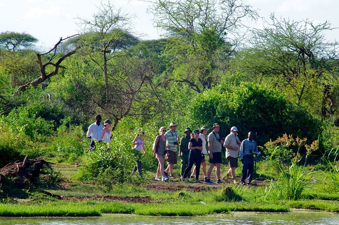 7 Days Mombasa Beach-Tsavo West-Voyager Ziwani Holiday Safari(Minimum 2 Persons) - Pricing and Guarantee