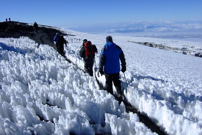 7 Days Mount Kilimanjaro Climb Lemosho Route - The Sum Up