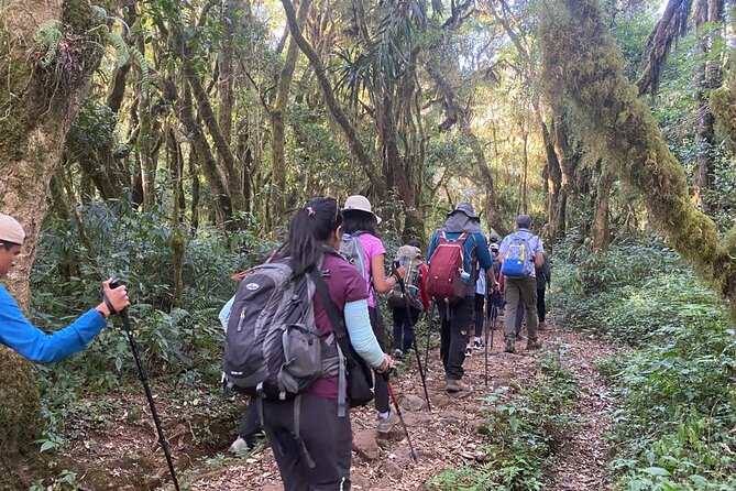7 Days Mount Kilimanjaro Machame Route - Good To Know