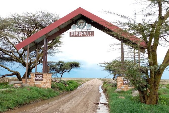 7 Days Mt Kilimanjaro,Tarangire NP, Ngorongoro, Serengeti NP, Lake Manyara NP - Day 1: Mt Kilimanjaro