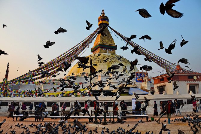 7 Days Nepal Buddhist Pilgrimage Tour - Standard Hotel Accommodation in Kathmandu, Lumbini, and Bhairahawa