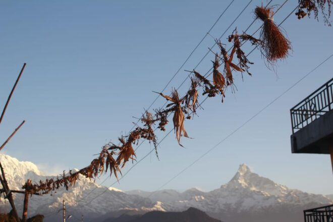 7 Days Nepal Tour (Kathmandu - Pokhara - Australian Hiking) - Inclusions and Exclusions