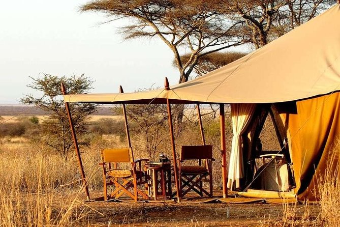 7 Days - Northern Tanzania Camping Safaris - Day 2: Tarangire to Lake Manyara National Park