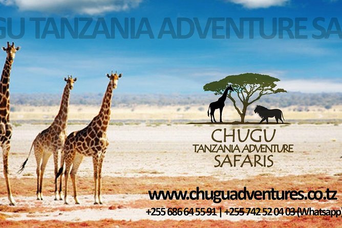 7 Days - Northern Tanzania Camping Safaris - Day 3: Lake Manyara to Serengeti National Park