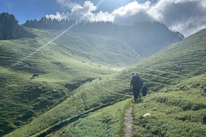 7 Days Pir Panjal Trek with Himalaya Shelter - What’s Included and What’s Not