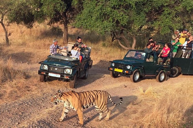7-Days Private Golden Triangle & Ranthambore Tour Includes,Hotel,Car,Safari - Tour Highlights