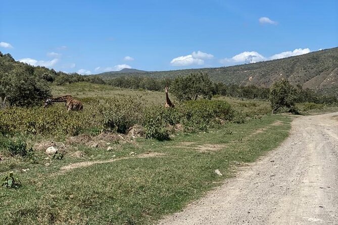 7-Days Private Jeep Safari Tour in 5 Star Luxury Lodge From Nairobi - Itinerary Overview