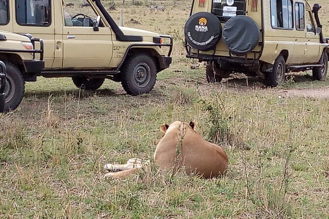 7-Days Private Jeep Safari Tour in 5 Star Luxury Lodge From Nairobi - Booking Information