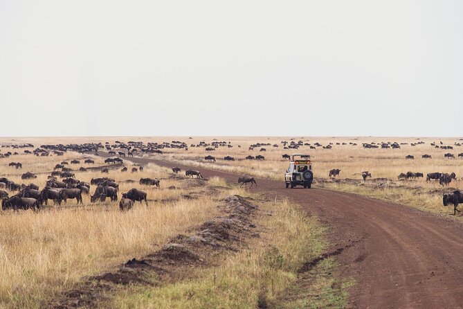 7-Days Private Jeep Safari Tour in 5 Star Luxury Lodge From Nairobi - The Sum Up