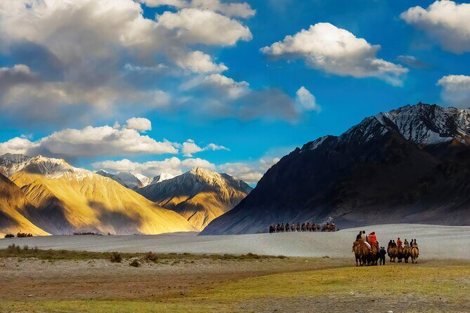 7 Days Private Ladakh India Tour with Transportation - Good To Know