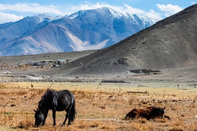 7 Days Private Ladakh India Tour with Transportation - An In-Depth Look at the 7-Day Ladakh Journey