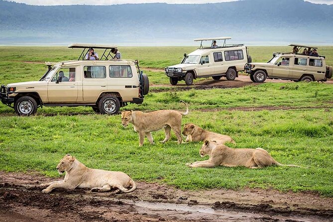 7-Days Private Midrange Safari; Serengeti & Ngorongoro Crater - Price and Booking Information