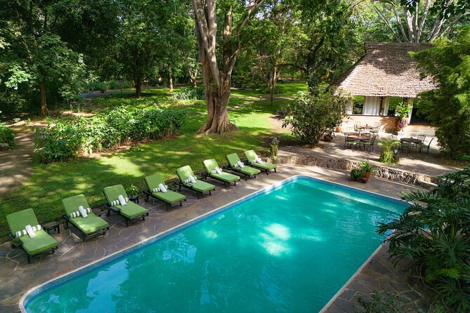 7-Days Private Midrange Safari; Serengeti & Ngorongoro Crater - Itinerary Highlights