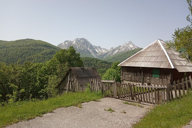 7 Days Private Tour - Amazing Montenegro - Tour Operator Information