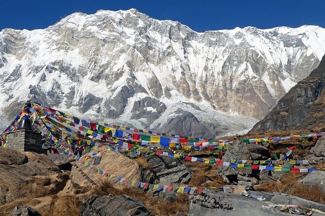 7 Days Private Tour - Annapurna Base Camp Trek in Pokhara - Common Questions