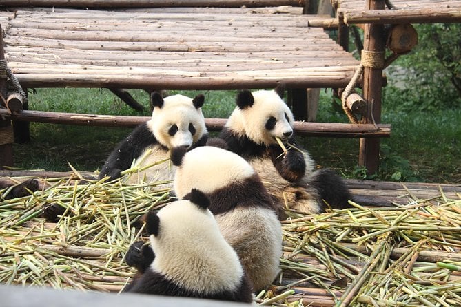 7 Days Private Tour to Chengdu,Xian and Beijing - Day 6: Beijing Cultural Experience