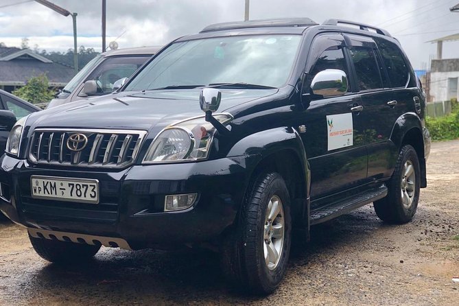 7 Days Private Transportation in Sri Lanka With Guide - The Sum Up