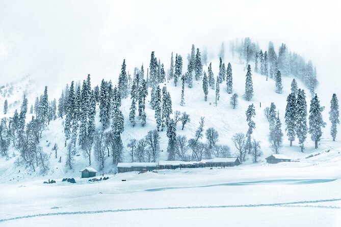 7 Days Private Travel Psychology Journey to Unseen Kashmir - Travel Wellness Guide