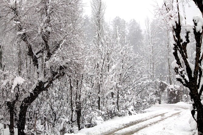 7 Days Private Travel Psychology Journey to Unseen Kashmir - Reviews and Ratings