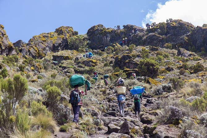 7 Days Private Whisky Route Climbing in Machame - Pick-up Details