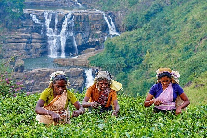 7 Days Ramayana Trails Tour in Sri Lanka - Good To Know
