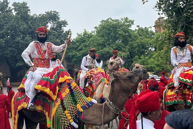 7 Days Ranthambore Tiger Safari and The Golden Triangle Tour - The Value for Price