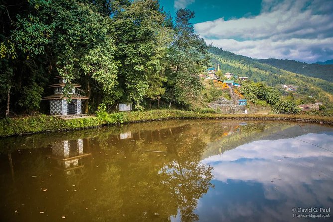 7 Days Relaxating Australian Camp Trek - Day 5: Wildlife Spotting Adventure