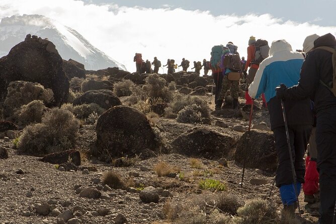 7 Days Rongai Route Climbing Kilimanjaro - Frequently Asked Questions