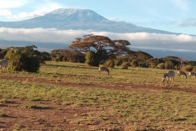 7 Days Safari Kenya Discovery - Dining Experiences