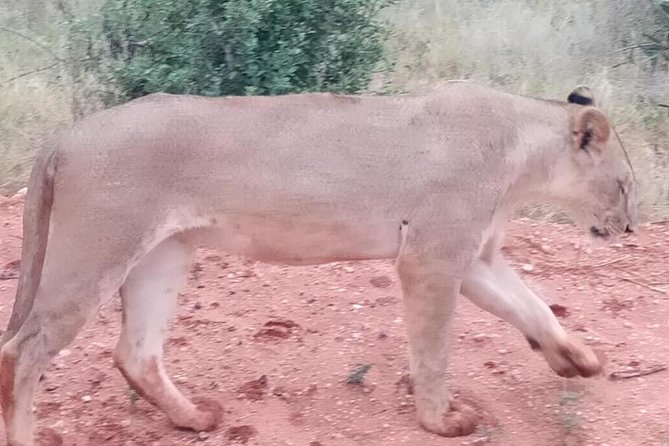 7 Days Safari Kenya Discovery - Tour Inclusions