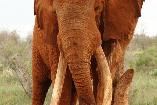 7 Days Safari Kenya Discovery - Booking and Reservation Details