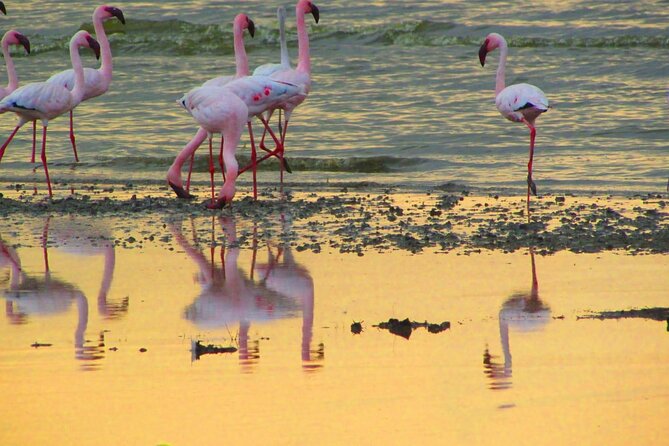 7 Days Safari Maasai Mara NR, Lake Nakuru NP Samburu NR -Luxury - Accommodations and Amenities