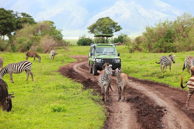 7 Days Safari Tour to Northern Tanzania National Parks - Good To Know