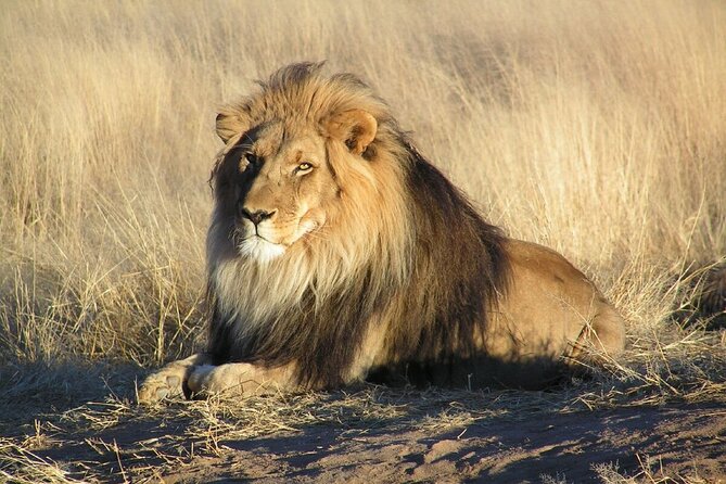 7 Days Safari Tour to Northern Tanzania National Parks - Dining Experiences