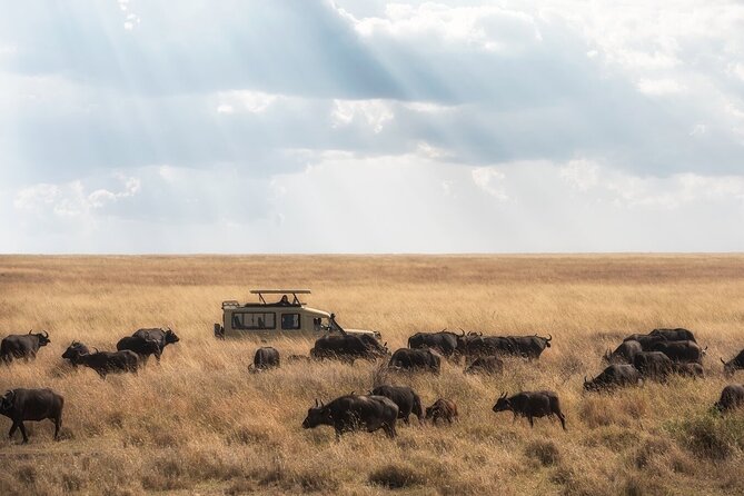 7 Days Safari Tour to Northern Tanzania National Parks - Cultural Immersion