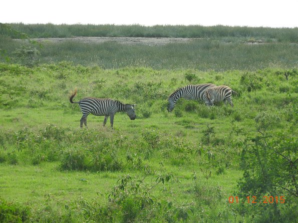 7 Days Samburu, Mt Kenya, Lake Nakuru Masai Mara - Day 4: Mt Kenya to Lake Nakuru