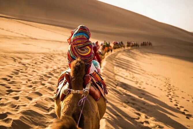 7 Days Silk Road Adventure with Desert Feast and Historical Sites - Night Market and Cultural Flavors in Dunhuang