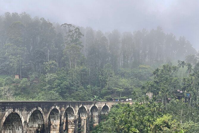 7 Days Sri Lanka Safari Tour - Who Is This Tour Best For?