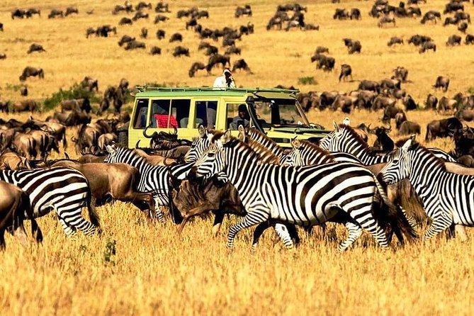 7 Days Tanzania Luxury Safaris - Accommodation Details