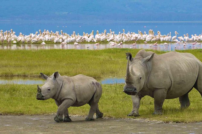 7 Days Tarangire, Serengeti, Ngorongoro & Manyara Joining Group Safari Tour - Pricing Details