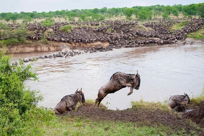 7 Days Tarangire, Serengeti, Ngorongoro & Manyara Joining Group Safari Tour - Frequently Asked Questions