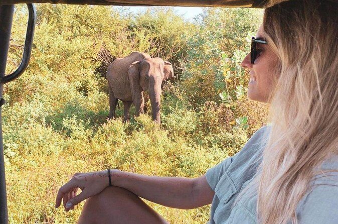 7 Days Tour in Sri Lanka Hotels with Breakfast and Luxury Car - Final Thoughts: Who Will Love This Tour?