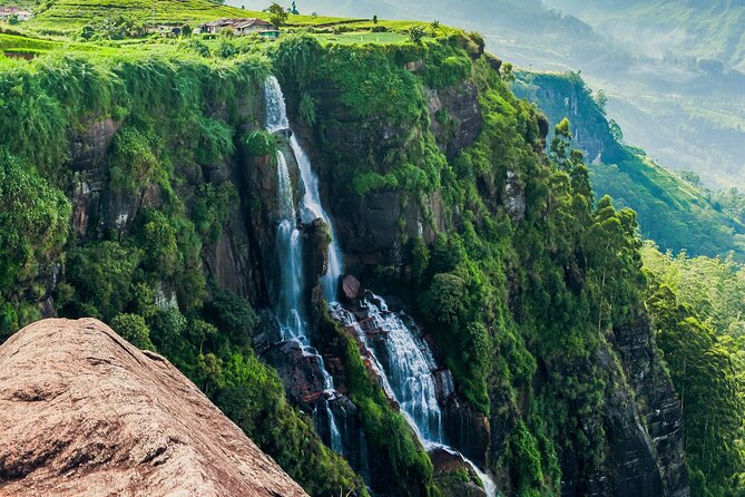 7 Days Tour in Sri Lanka With 4 Star HB Accommodations - Meal Inclusions