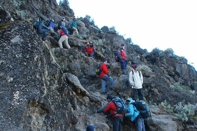 7-Days Tour Mount Kilimanjaro Trekking via Machame Route - The Sum Up