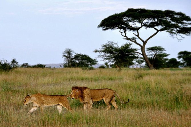 7 Days Tour Northern Tanzania Safari: - Packing Essentials
