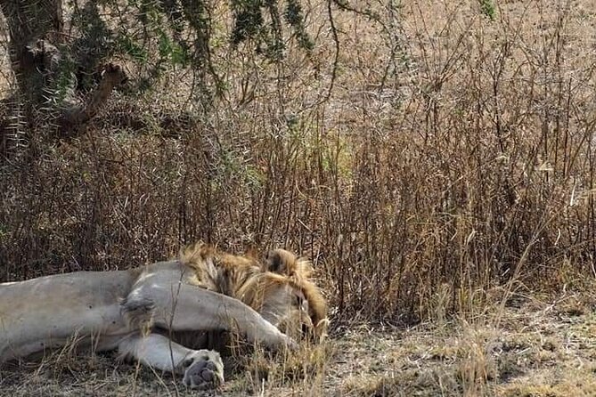 7 Days Tour Northern Tanzania Safari: - Booking and Reservation Details