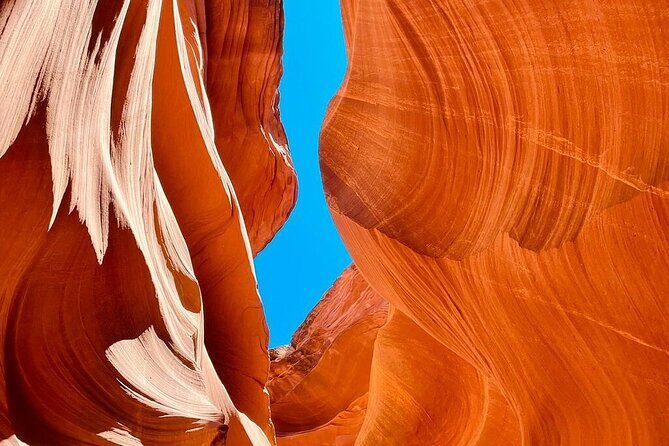 7 Days Tour of Los Angeles, Vegas, Yellowstone and Salt Lake City - Pricing & Value